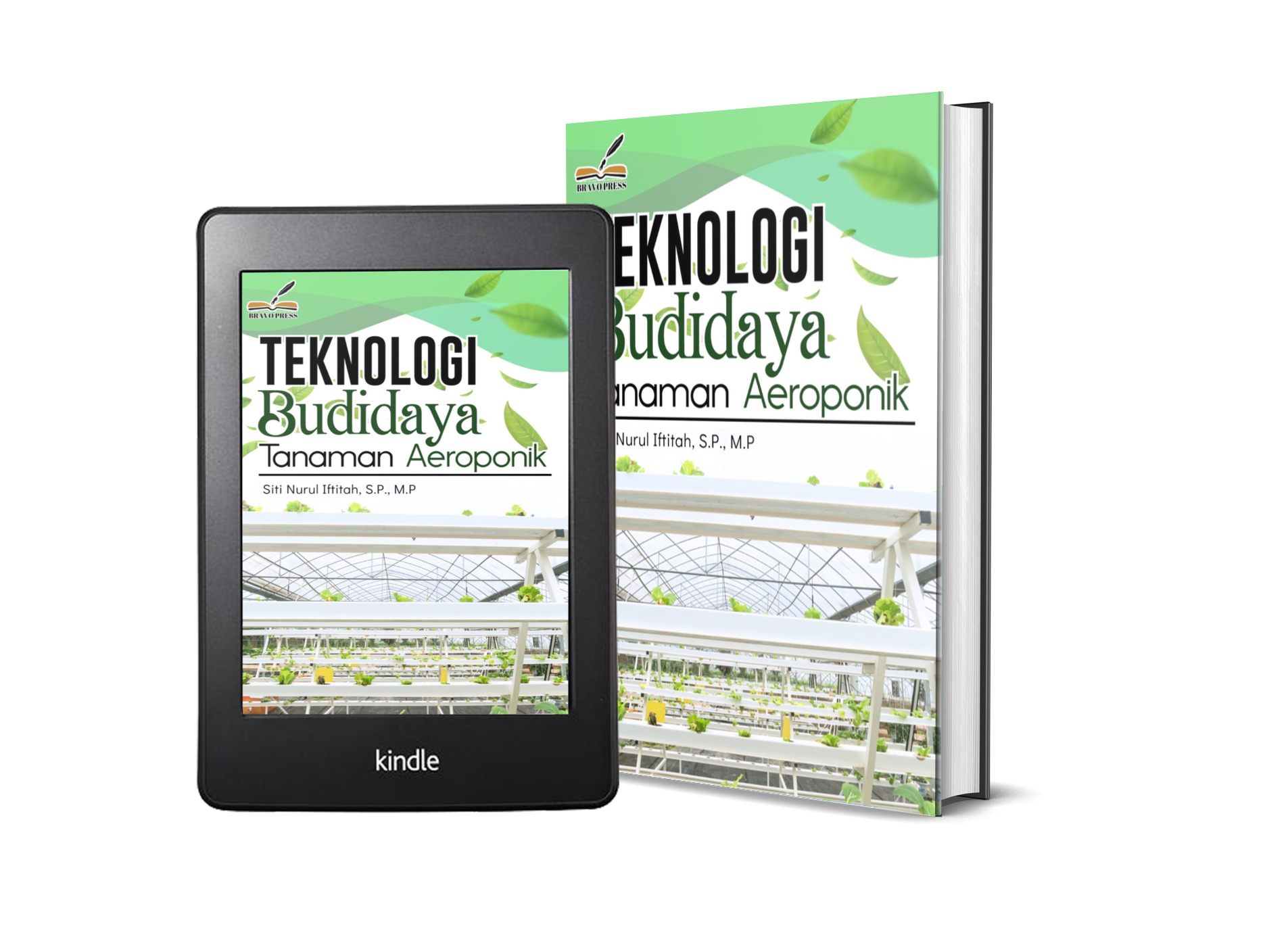 TEKNOLOGI BUDIDAYA TANAMAN AEROPONIK