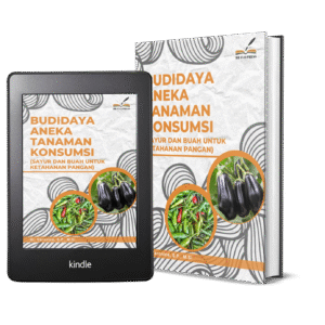 BUDIDAYA ANEKA TANAMAN KONSUMSI (SAYUR DAN BUAH UNTUK KETAHANAN PANGAN)