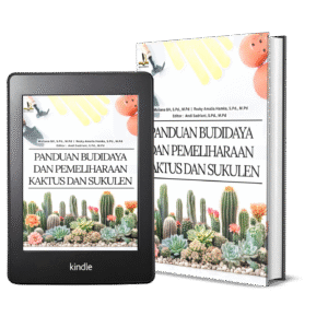 Panduan Budidaya dan Pemeliharaan Kaktus dan Sukulen