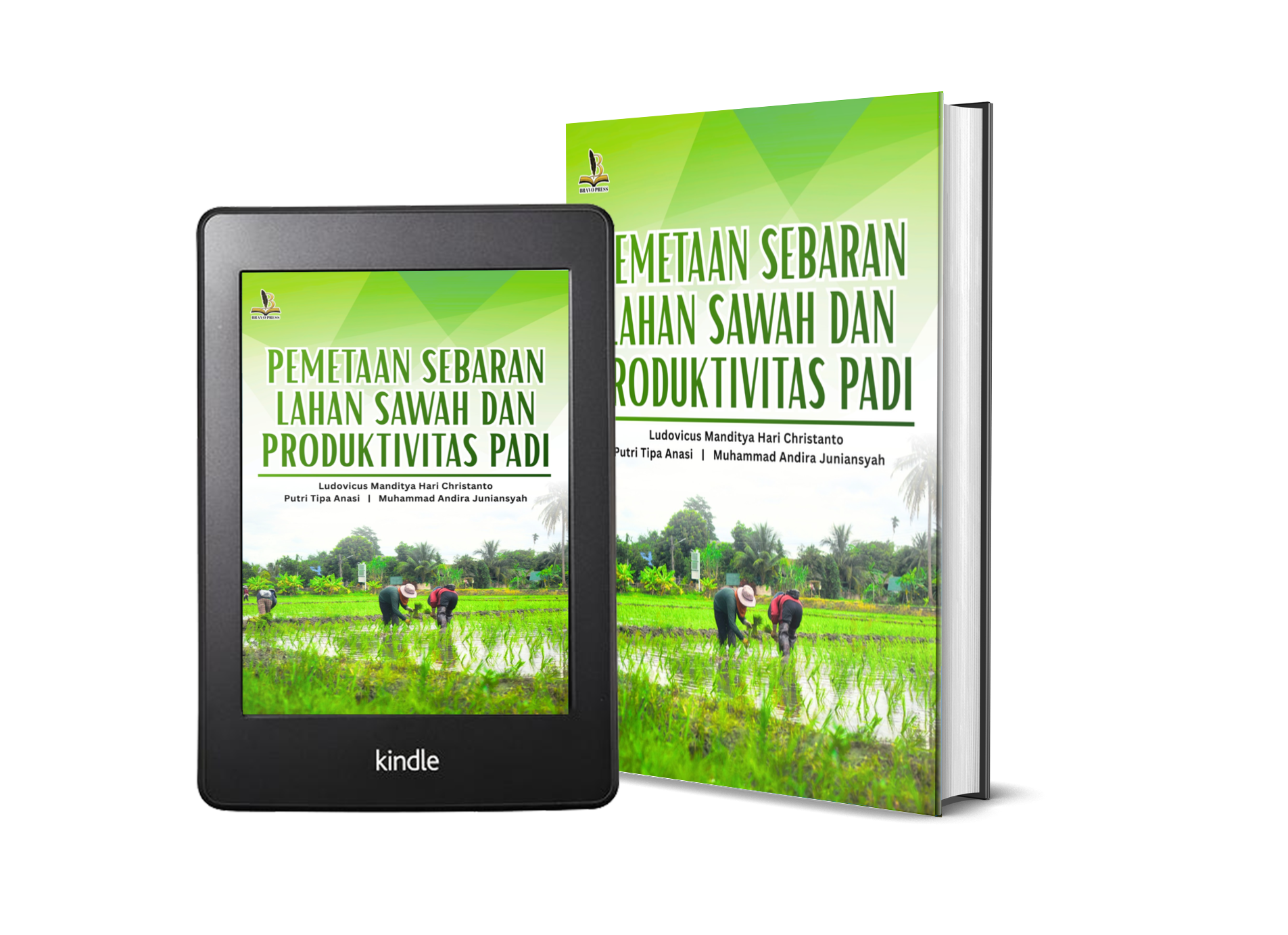 PEMETAAN SEBARAN LAHAN SAWAH DAN PRODUKTIVITAS PADI