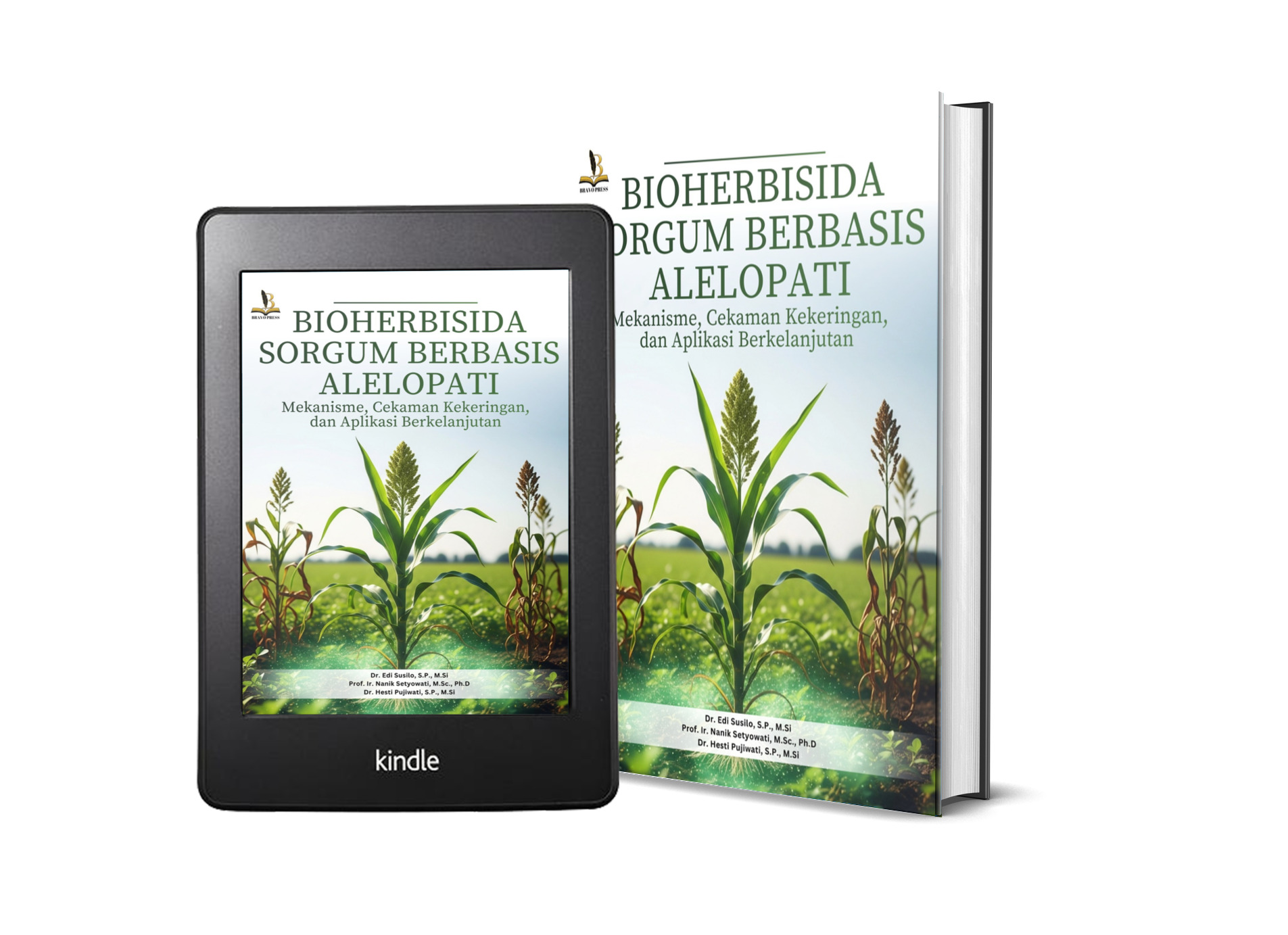 BIOHERBISIDA SORGUM BERBASIS ALELOPATI: Mekanisme, Cekaman Kekeringan, dan Aplikasi Berkelanjutan