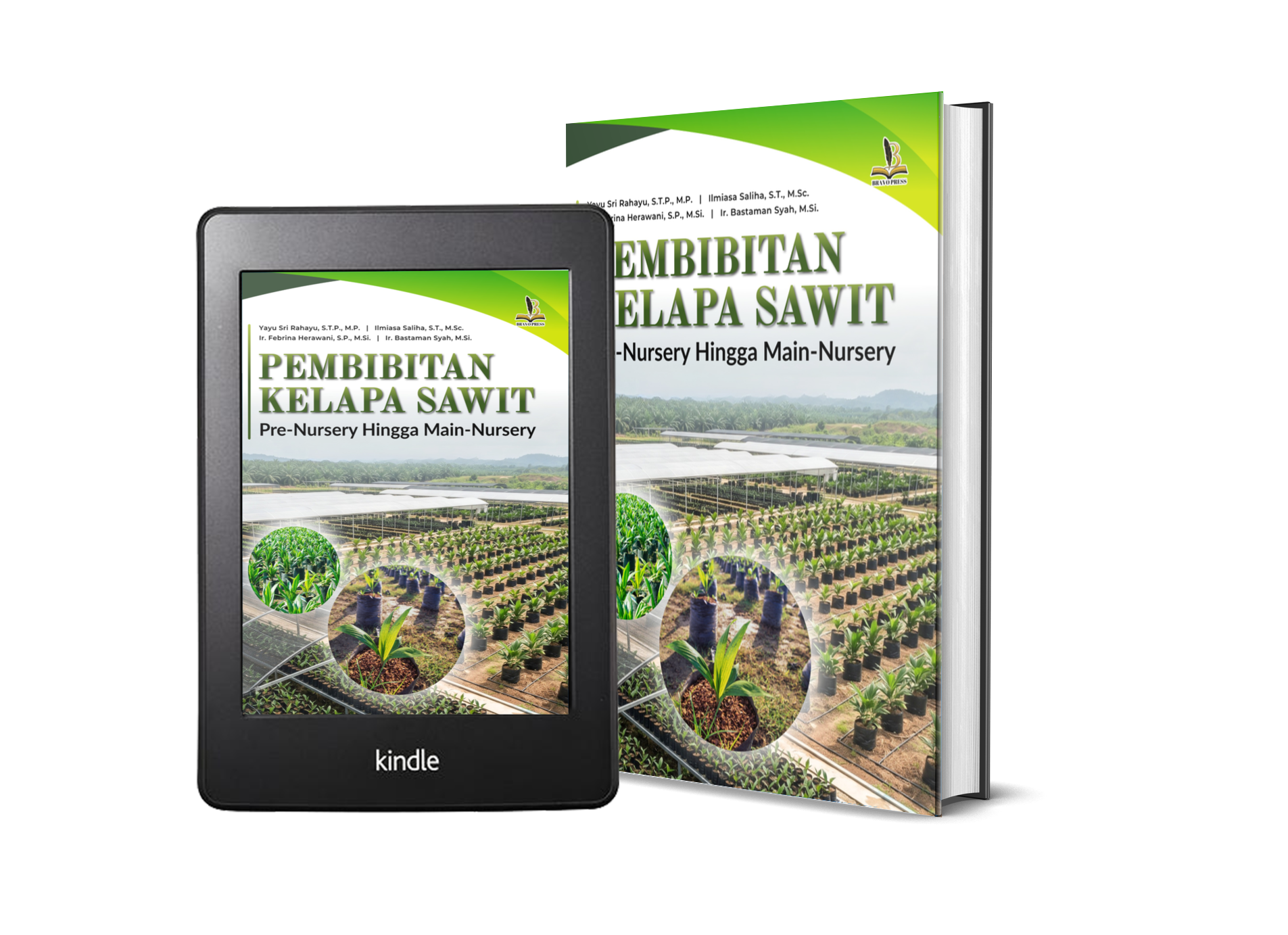 PEMBIBITAN KELAPA SAWIT : Pre-Nursery hingga Main-Nursery